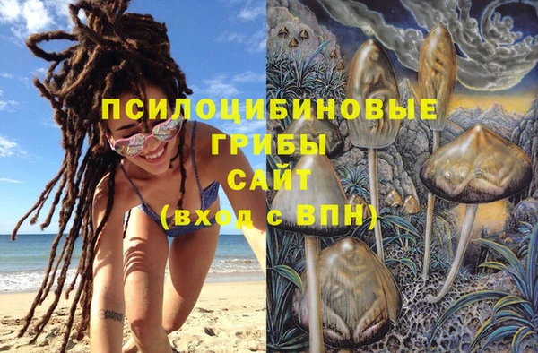 синтетический гашиш Белокуриха
