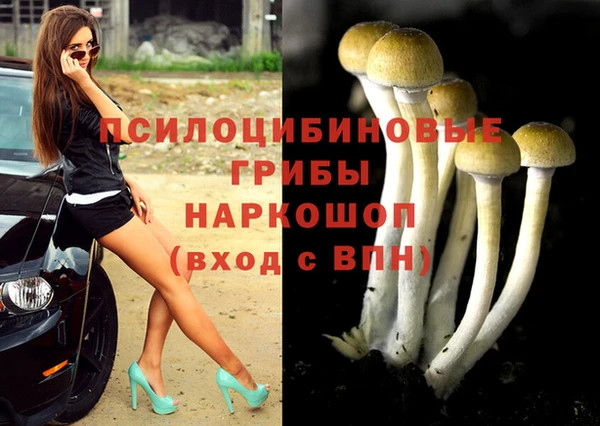 синтетический гашиш Белокуриха