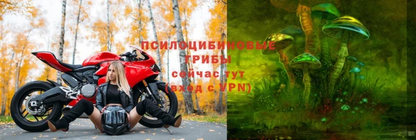 синтетический гашиш Белокуриха