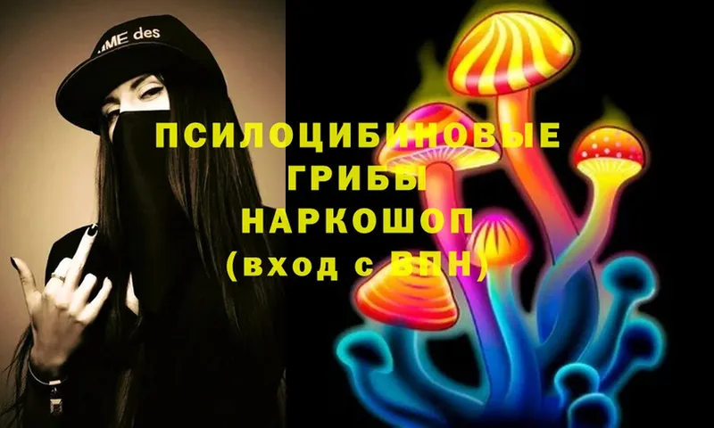 Галлюциногенные грибы Magic Shrooms Верещагино