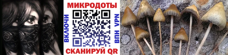 mega рабочий сайт  Верещагино  Псилоцибиновые грибы прущие грибы 